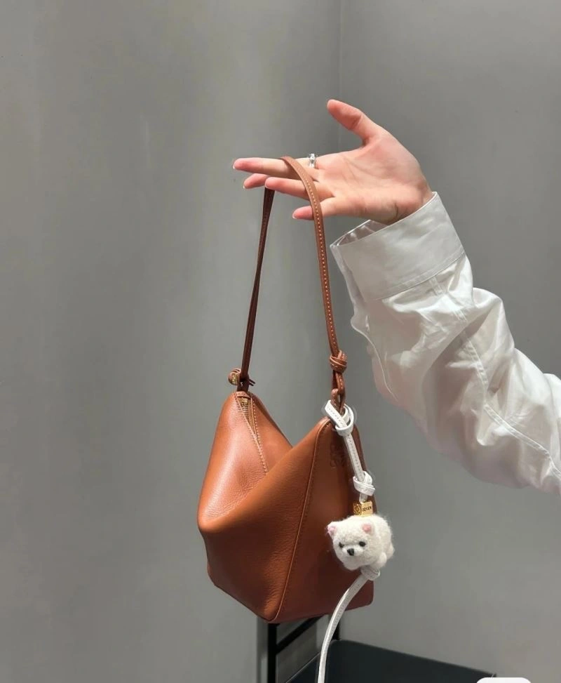 Modern Loewe Hobo Bags 61577