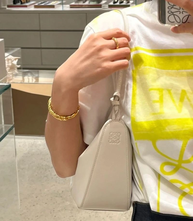 Loewe Hobo Bags Sleek 61610