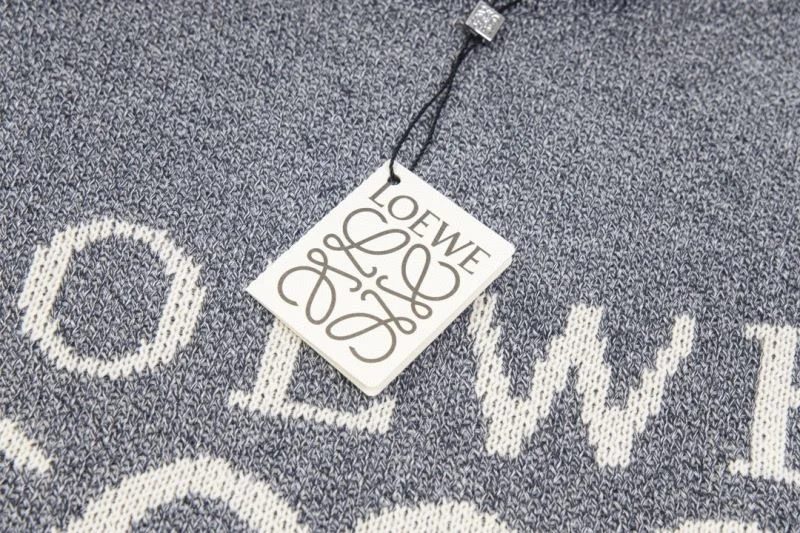 Loewe Hoodies AllSeason 163793