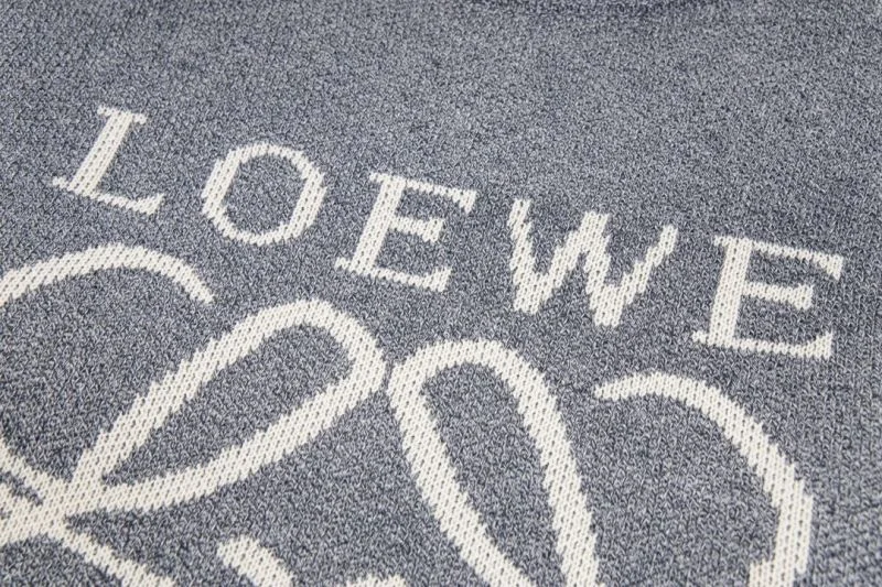 Loewe Hoodies AllSeason 163793