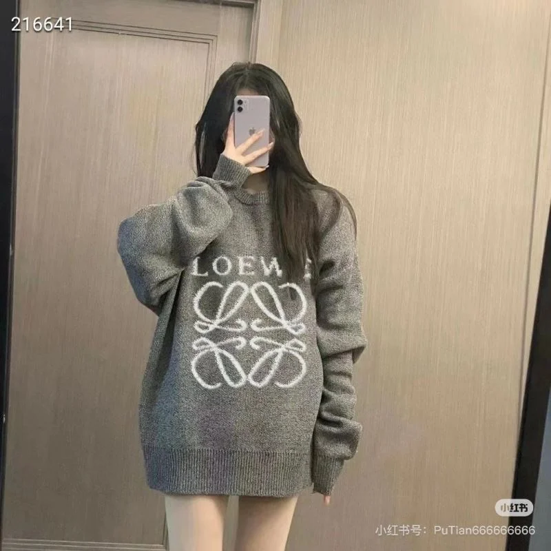 Loewe Hoodies AllSeason 163793