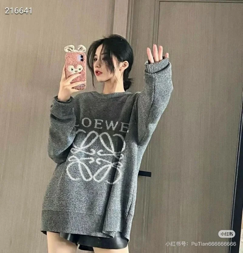 Loewe Hoodies AllSeason 163793