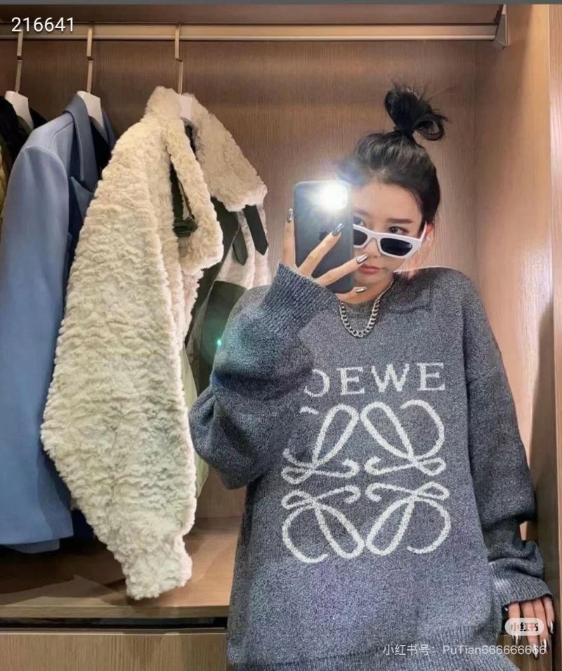 Loewe Hoodies AllSeason 163793