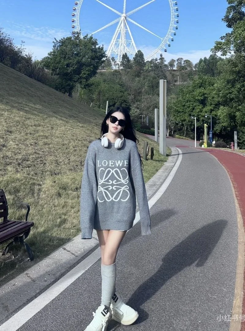 Loewe Hoodies AllSeason 163793