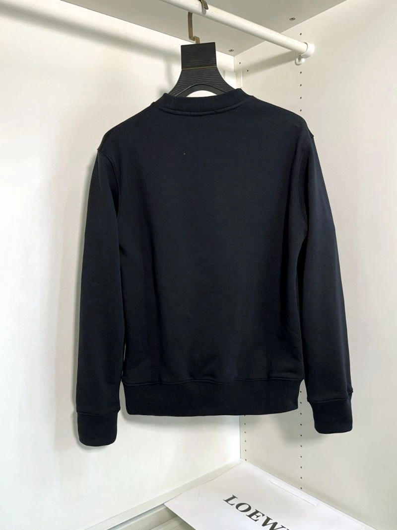 Loewe Hoodies Comfortable 159416
