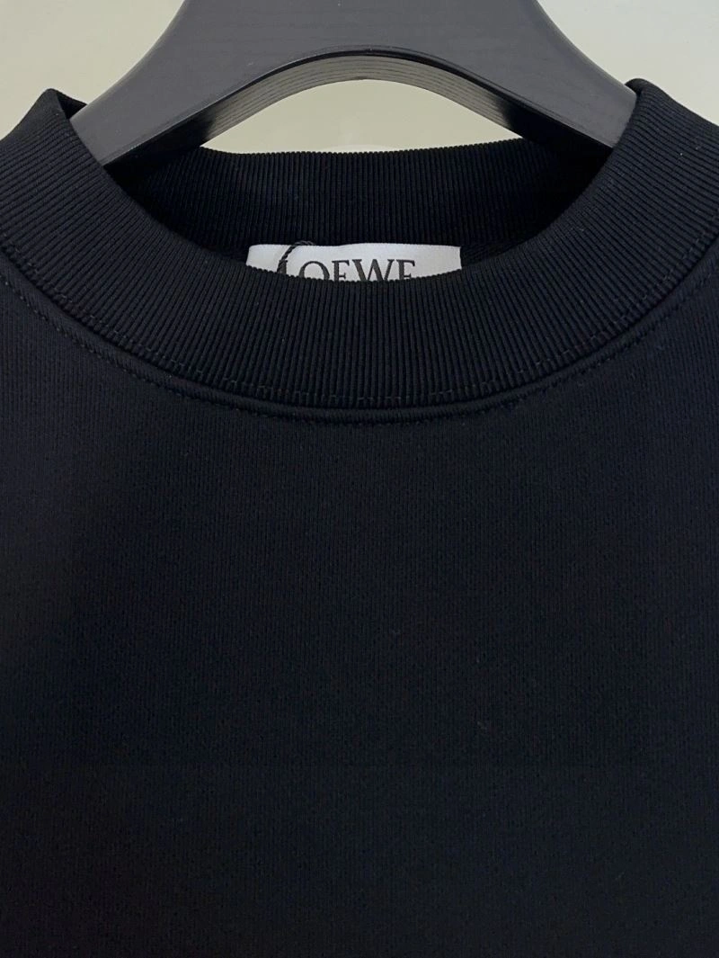 Loewe Hoodies Comfortable 159416