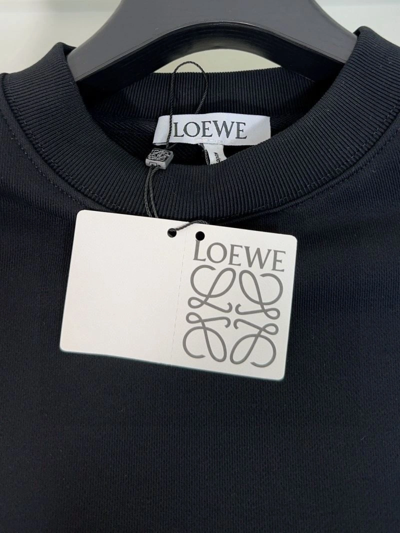 Loewe Hoodies Comfortable 159416