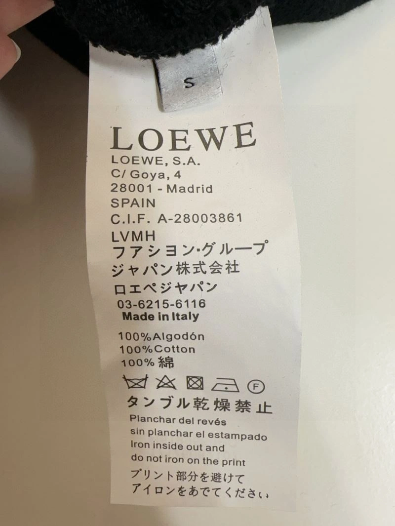 Loewe Hoodies Comfortable 159416