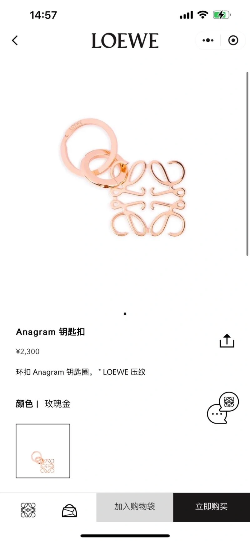Trendy Loewe Keychains 265869