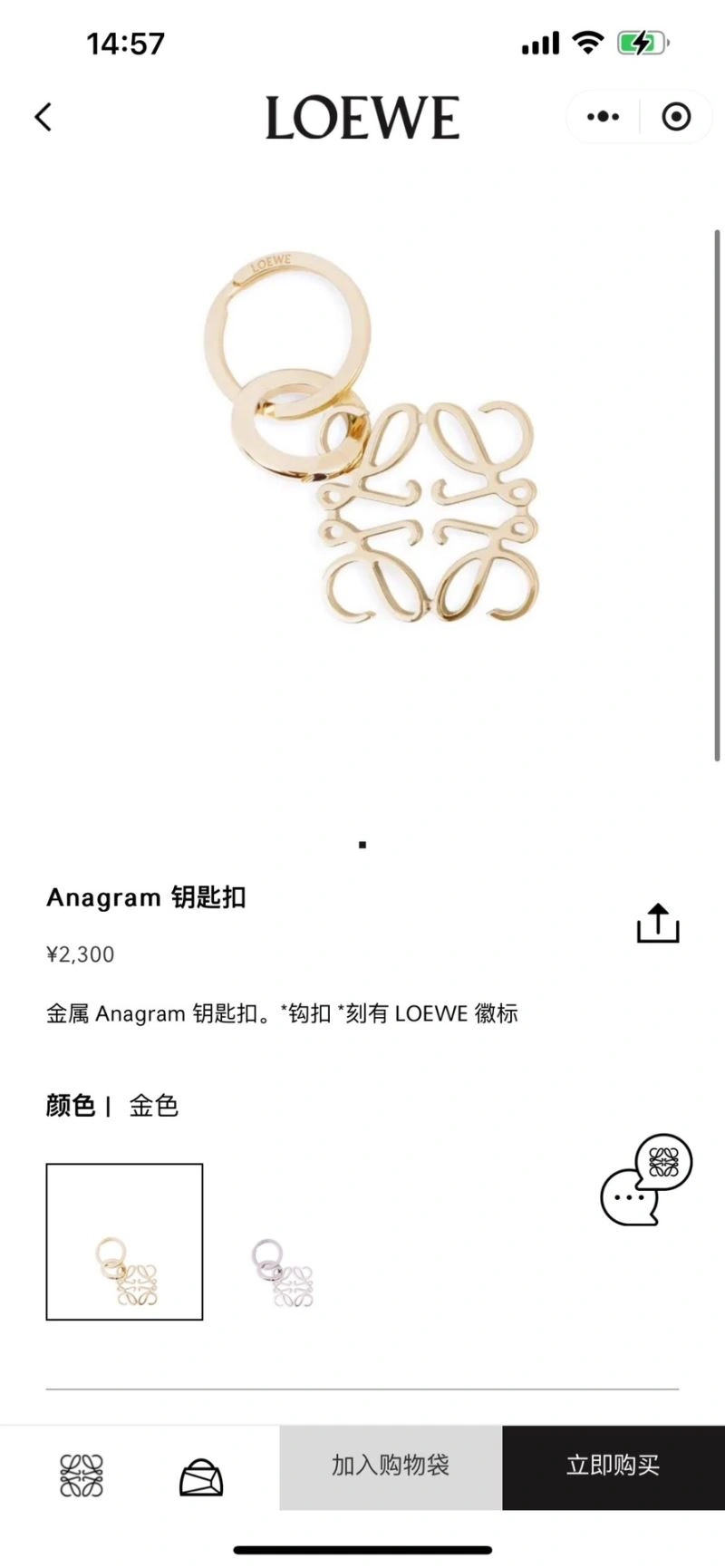 Trendy Loewe Keychains 265869
