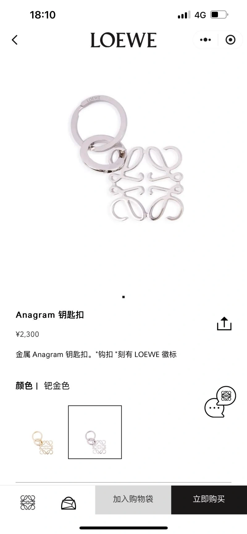 Trendy Loewe Keychains 265869