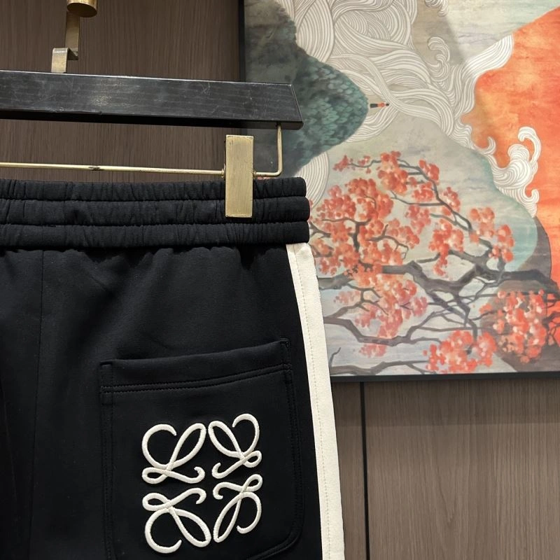Attractive Loewe Long Pants 161670