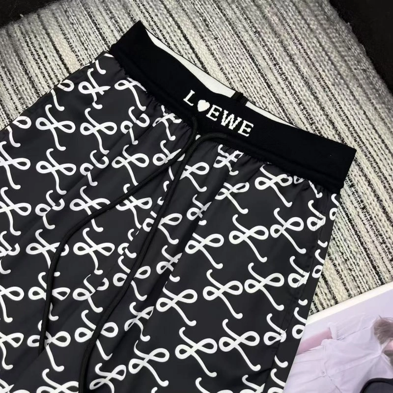 Elegant Loewe Long Pants 154901