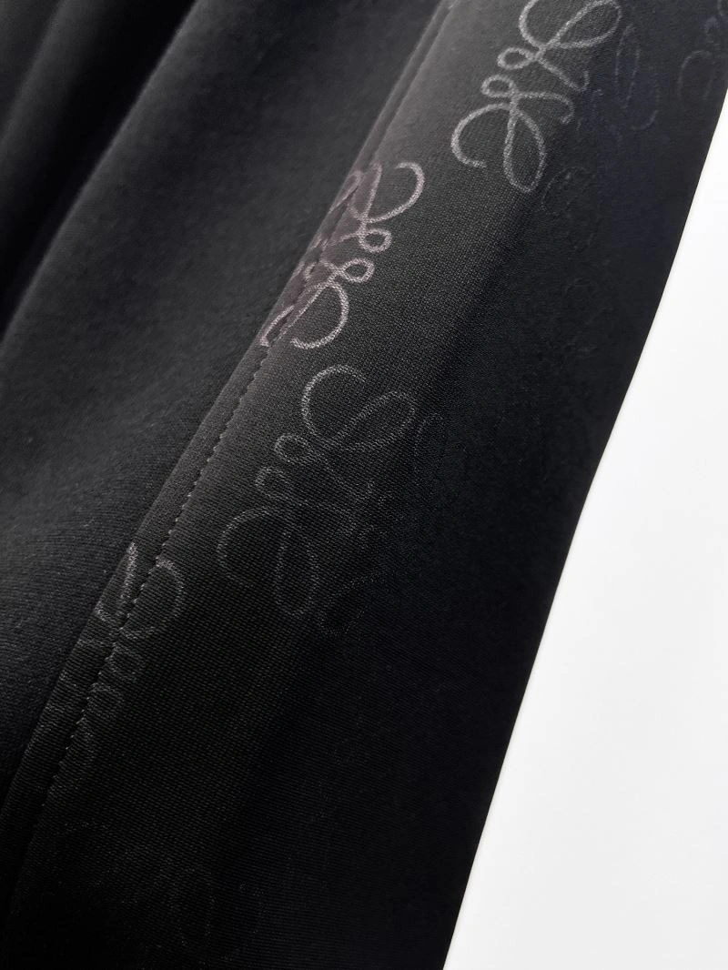 Loewe Long Pants Trendy 159406