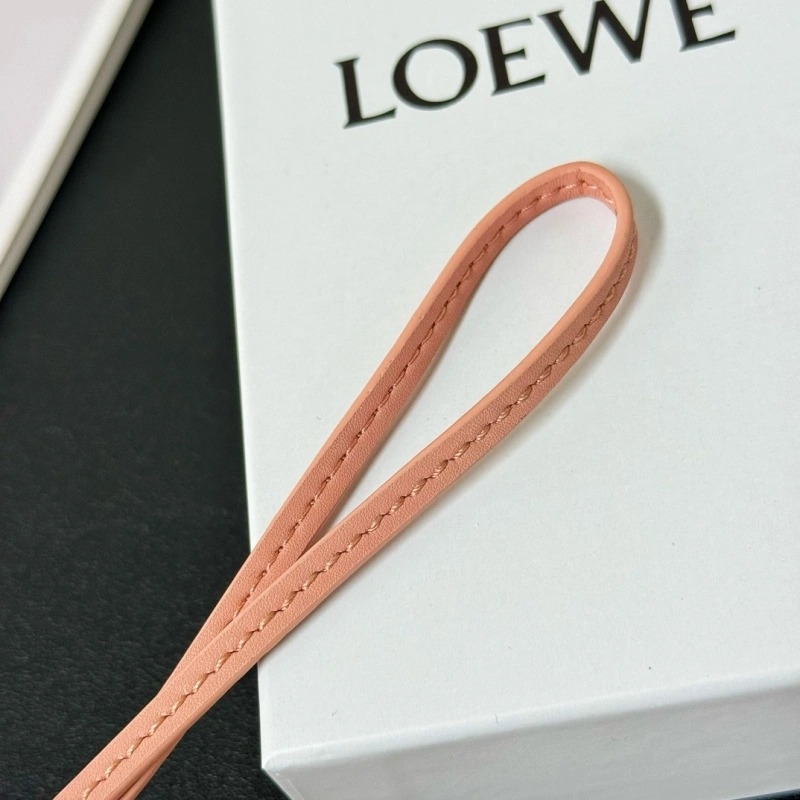 WaterResistant Loewe Ornaments 269627