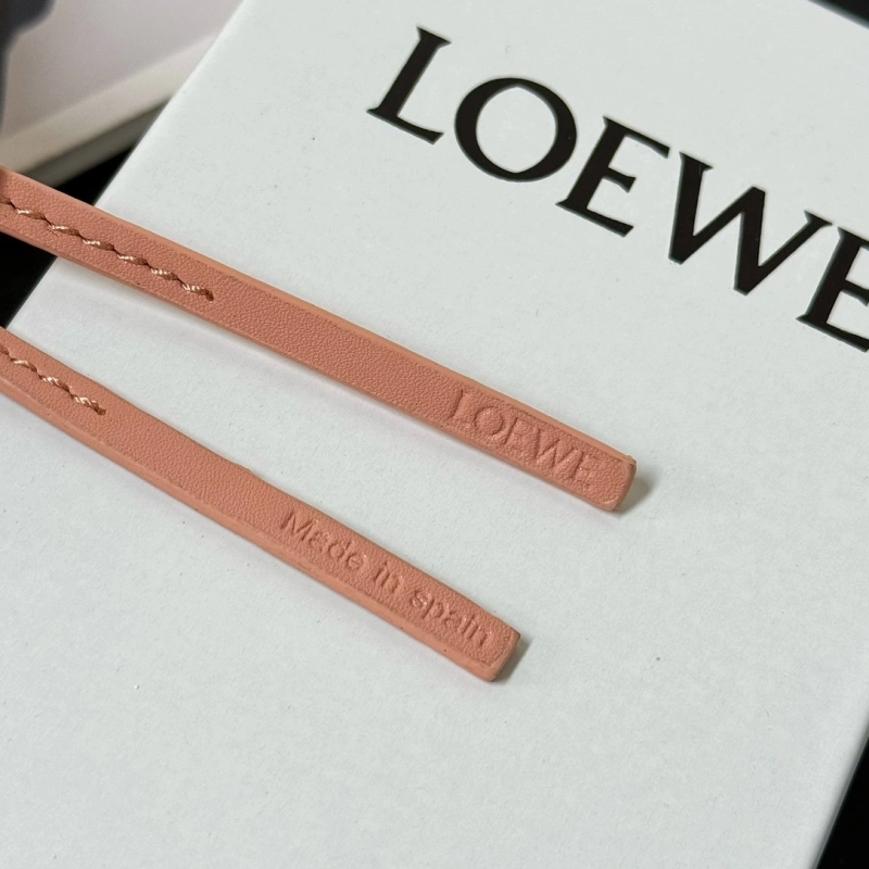 WaterResistant Loewe Ornaments 269627