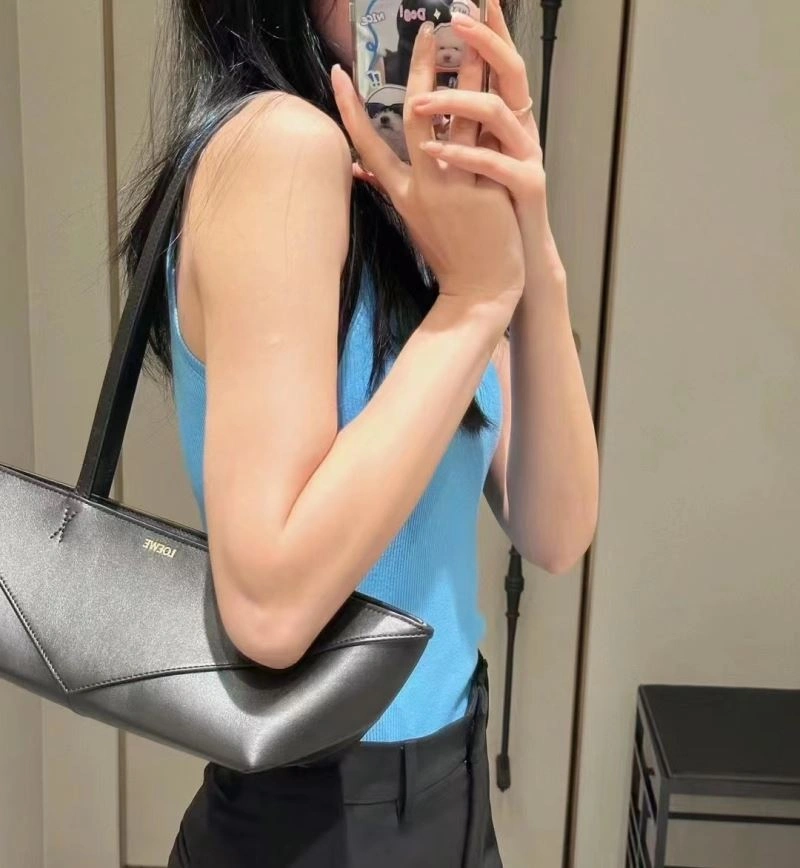 Sleek Loewe Paseo Bags 77387