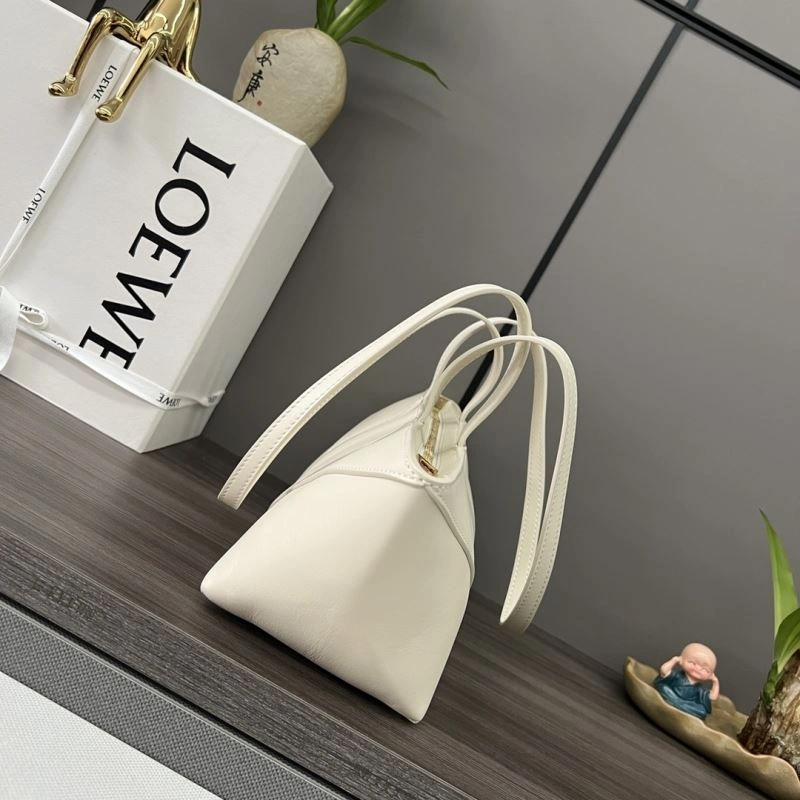Loewe Paseo Bags QuickDry 77370