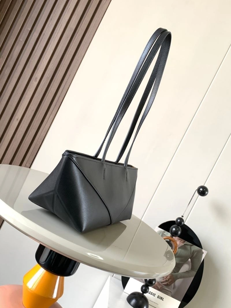 Contemporary Loewe Paseo Bags 77494