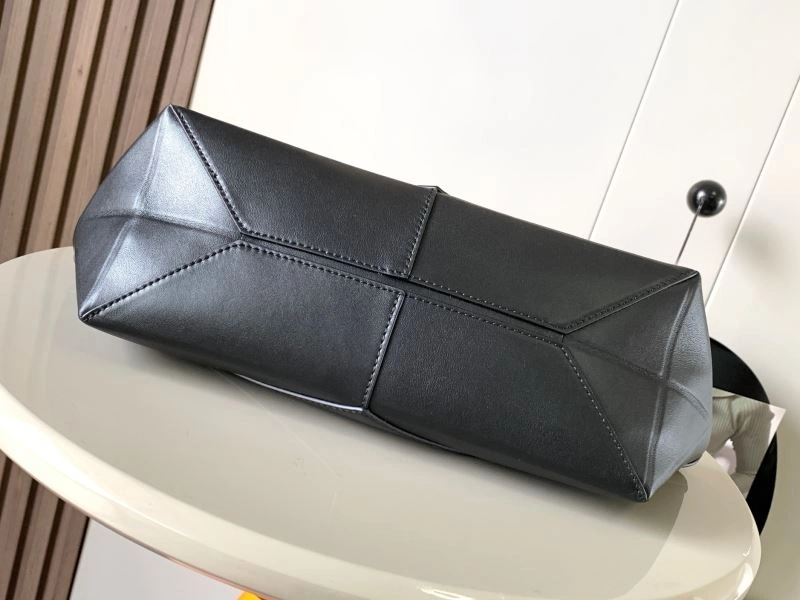 Contemporary Loewe Paseo Bags 77494
