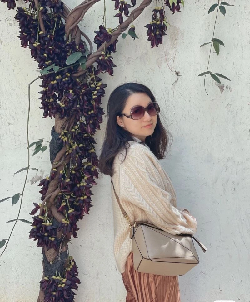 Loewe Puzzle Bags Fashionable 61547