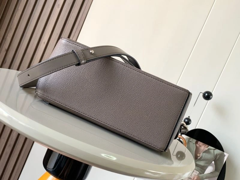 OdorResistant Loewe Puzzle Bags 77488