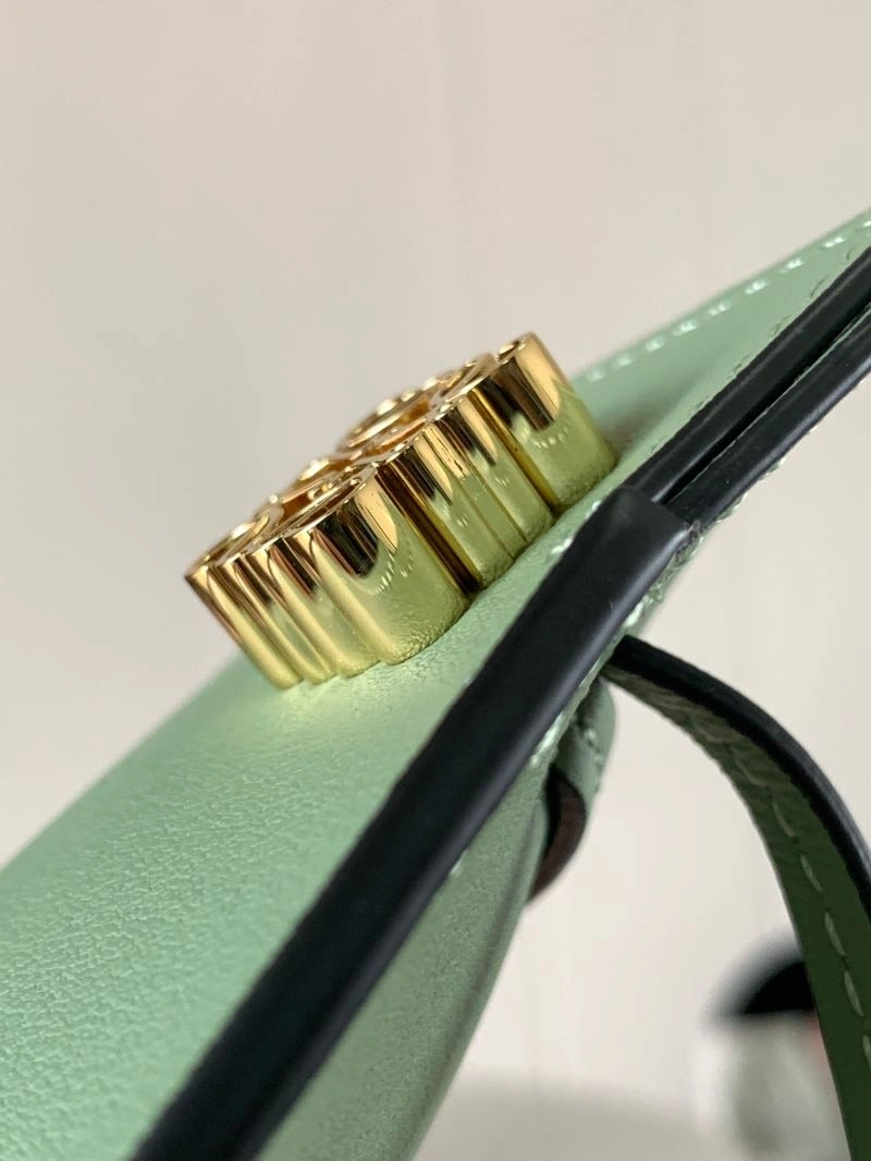 Loewe Satchel Bags SmoothTexture 77460