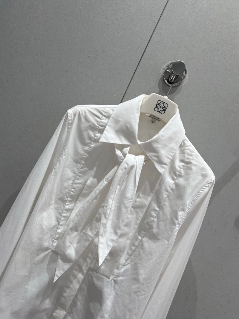 WellDesigned Loewe Shirts 149742
