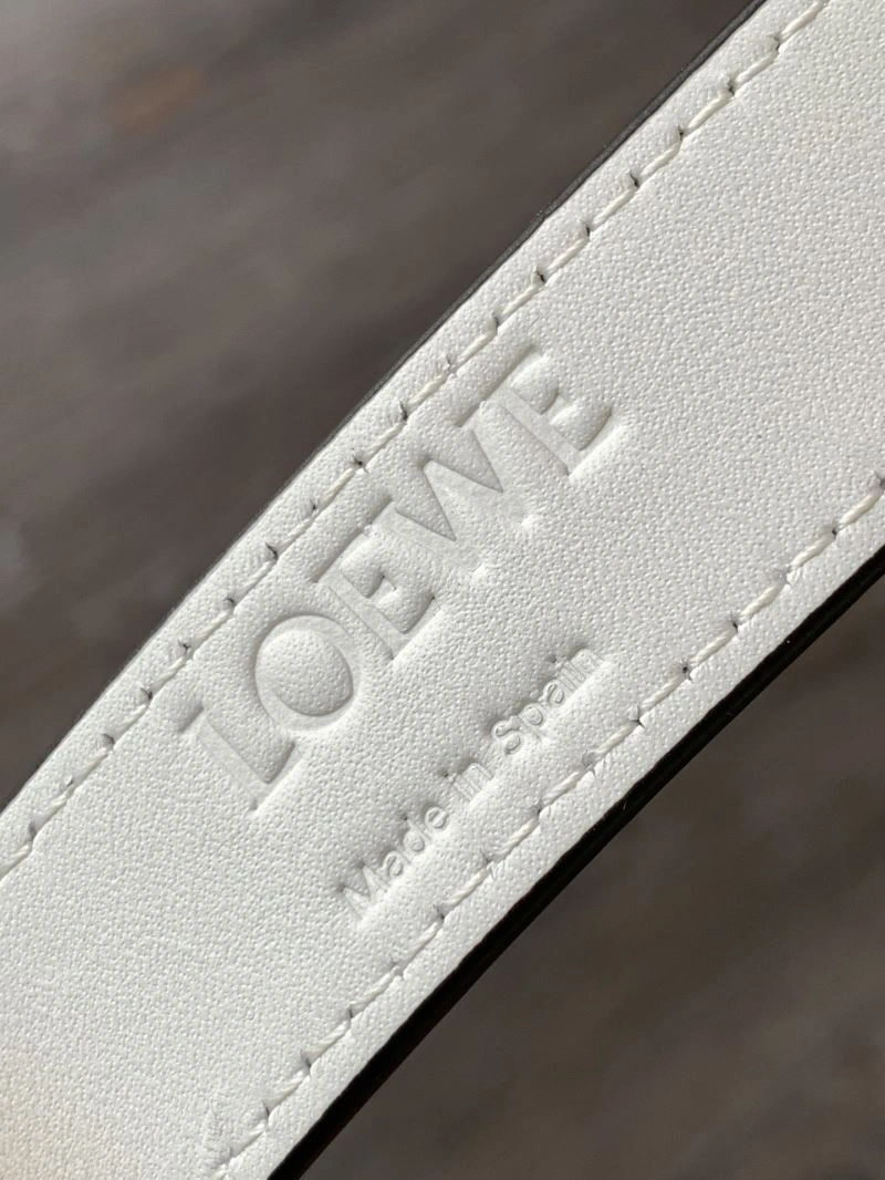 Functional Loewe Shopping Bags 73041