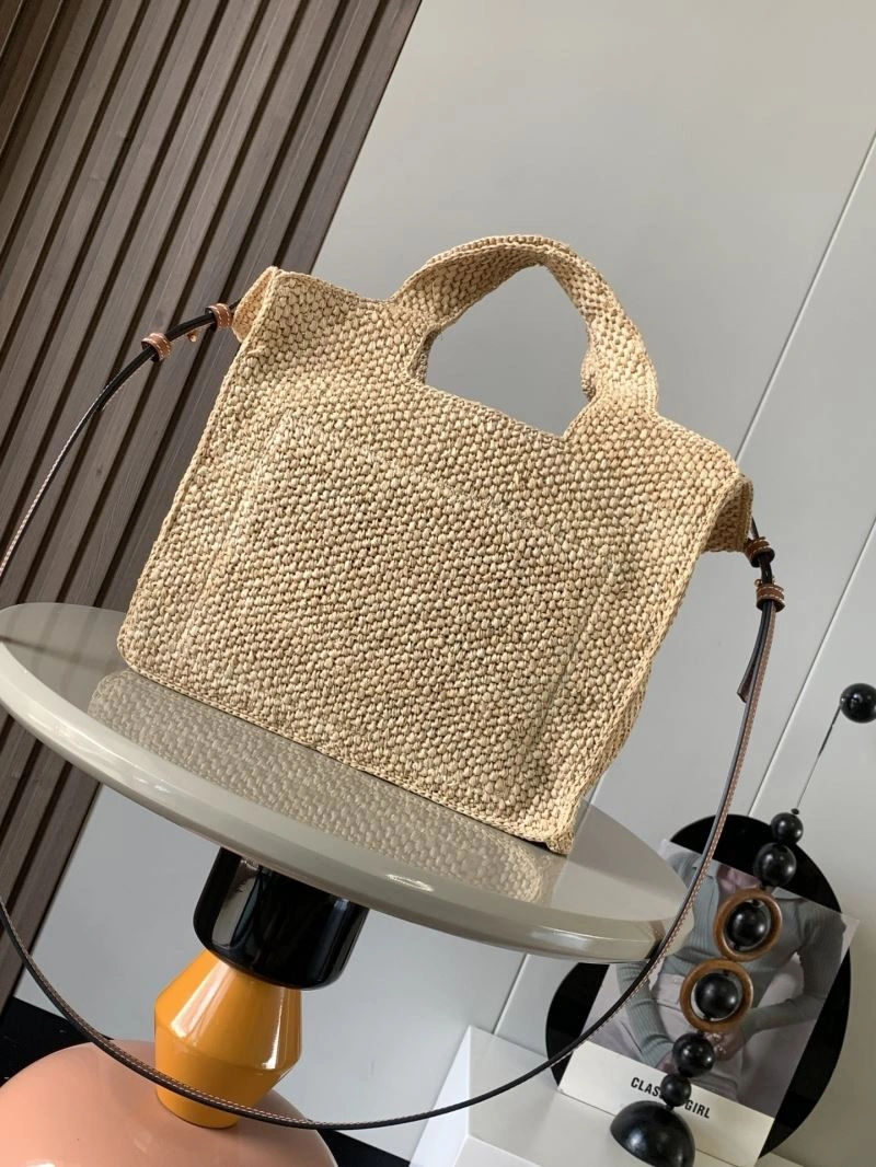 Unique Loewe Shopping Bags 67040