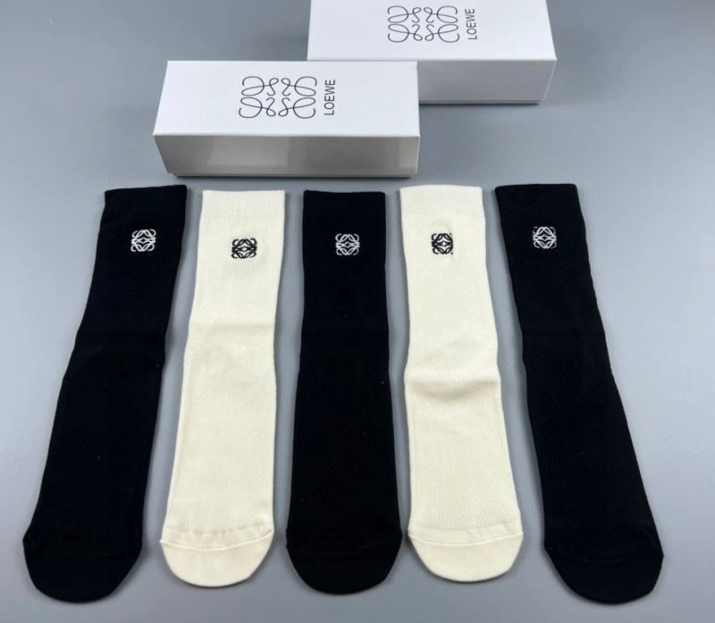 Sustainable Loewe Socks 273612