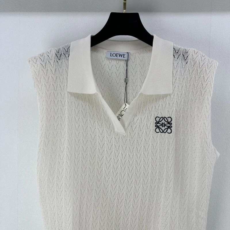 EyeCatching Loewe Sweaters 149644