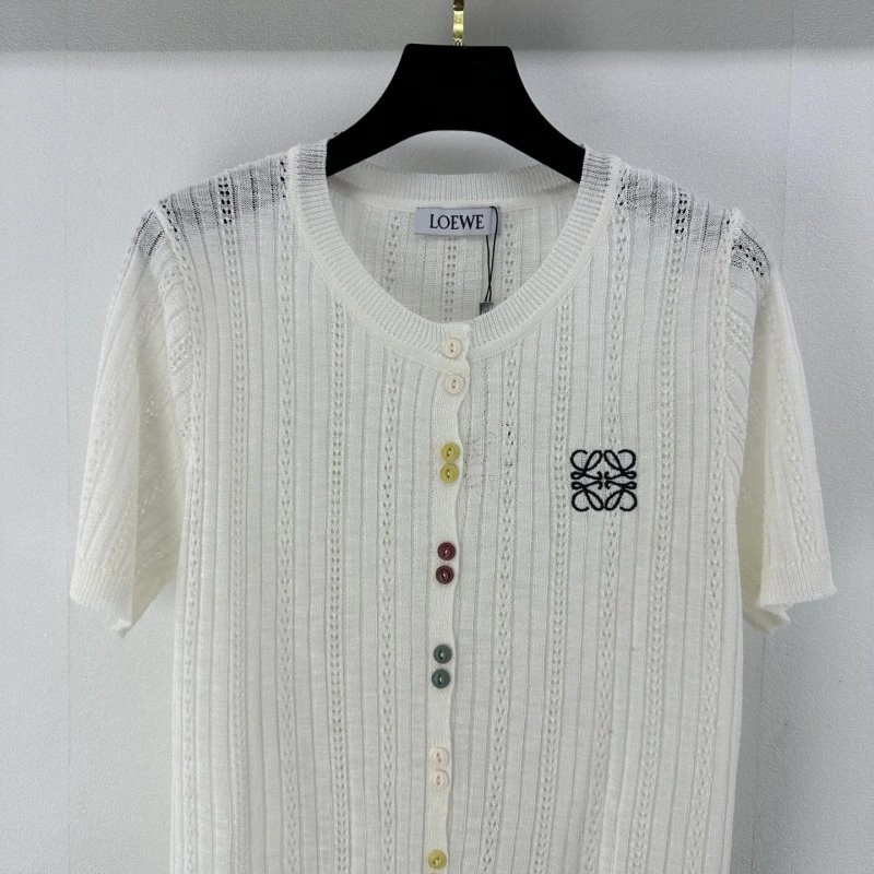 Colorful Loewe Sweaters 149629