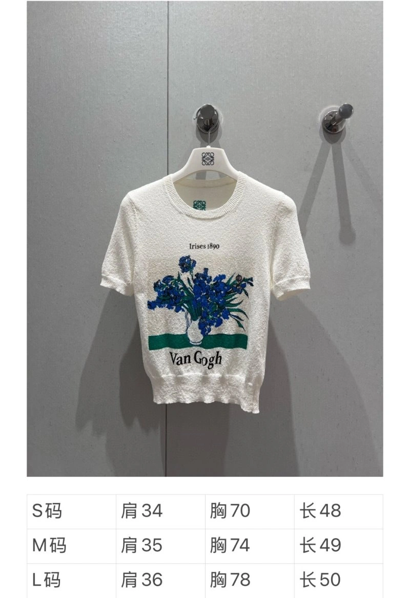 WellDesigned Loewe Sweaters 149627