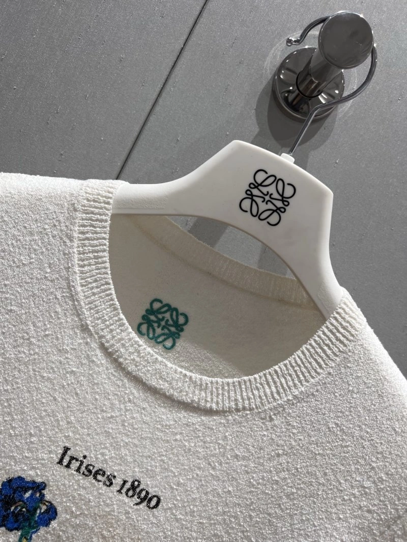 WellDesigned Loewe Sweaters 149627