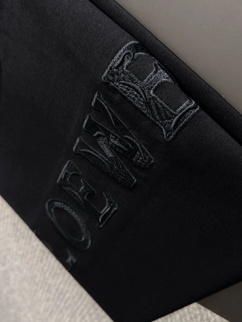 Seasonal Loewe T-Shirts 163678