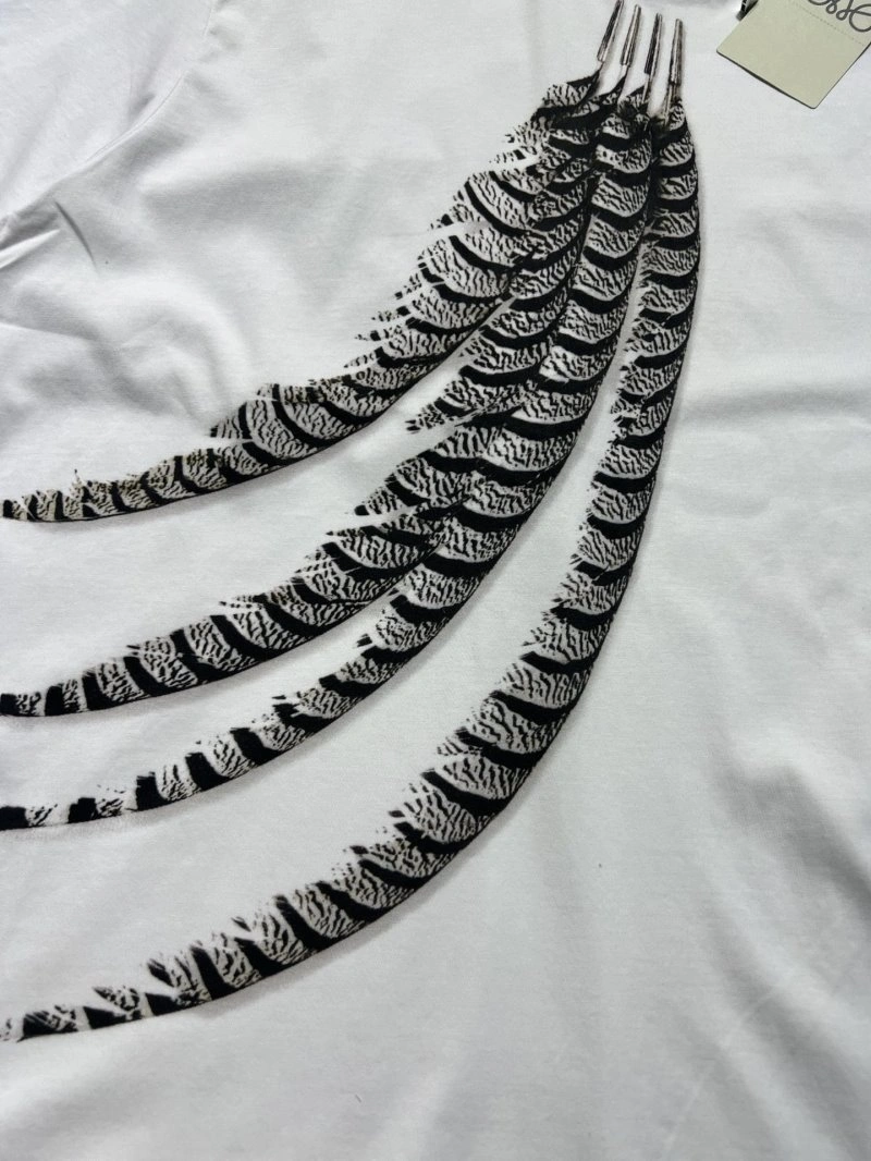 GoAnywhere Loewe T-Shirts 156717