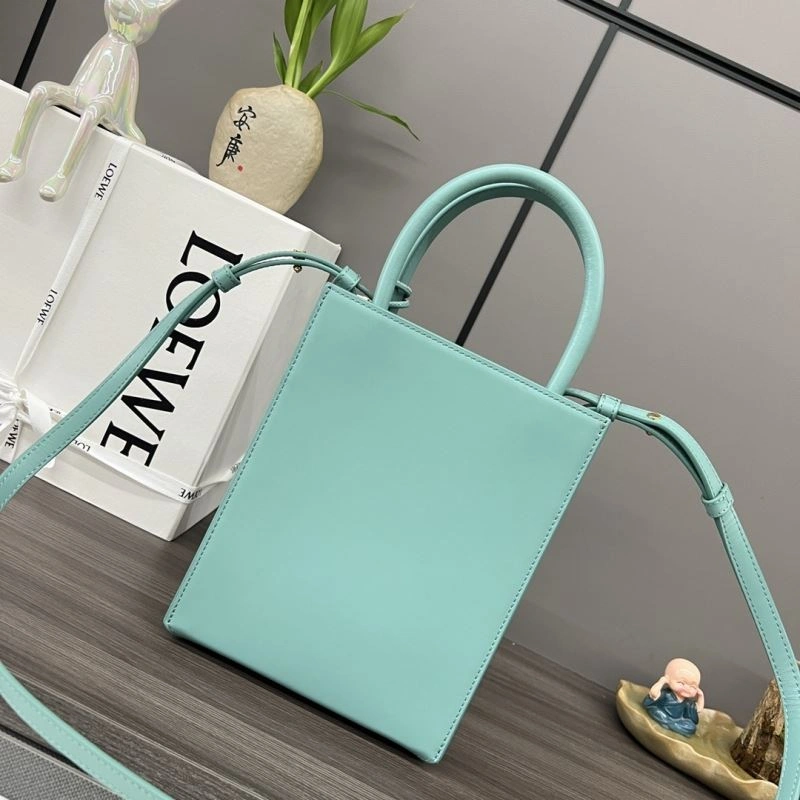 Loewe Top Handle Bags EasyCare 73284