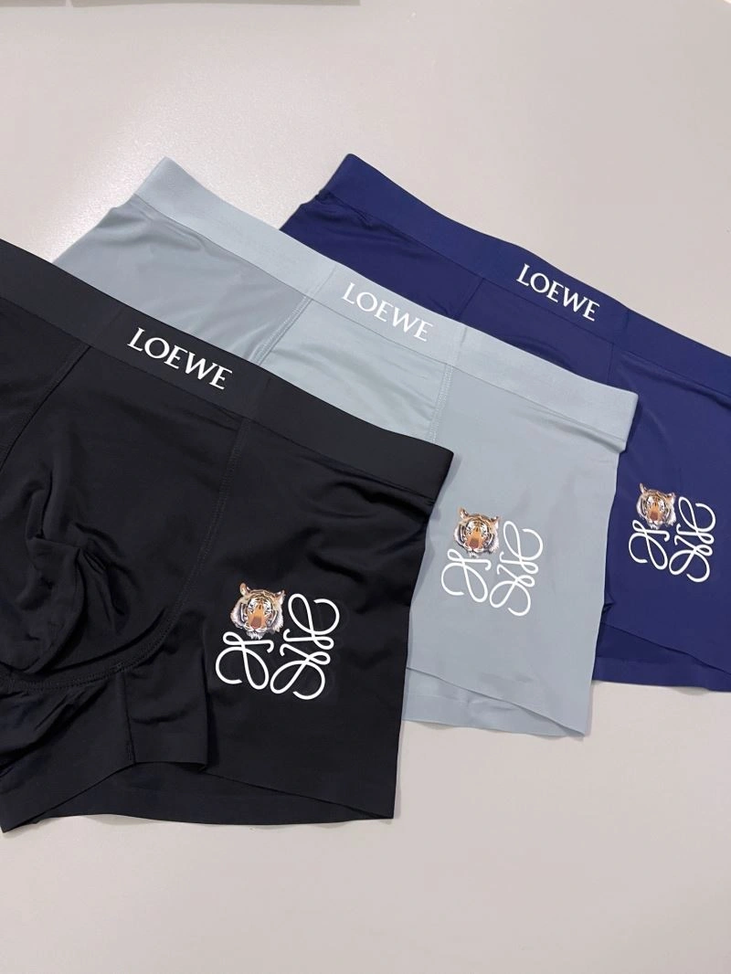 FastDry Loewe Underwear 276780