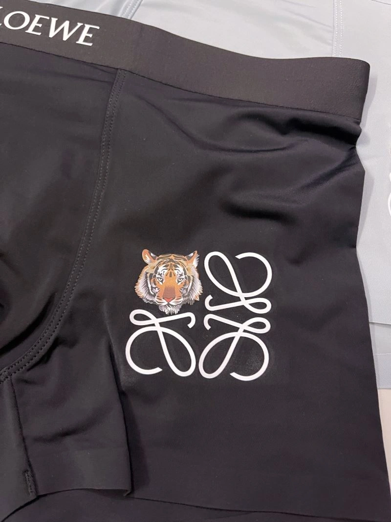 FastDry Loewe Underwear 276780