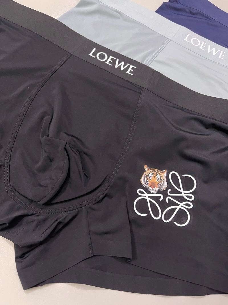 FastDry Loewe Underwear 276780