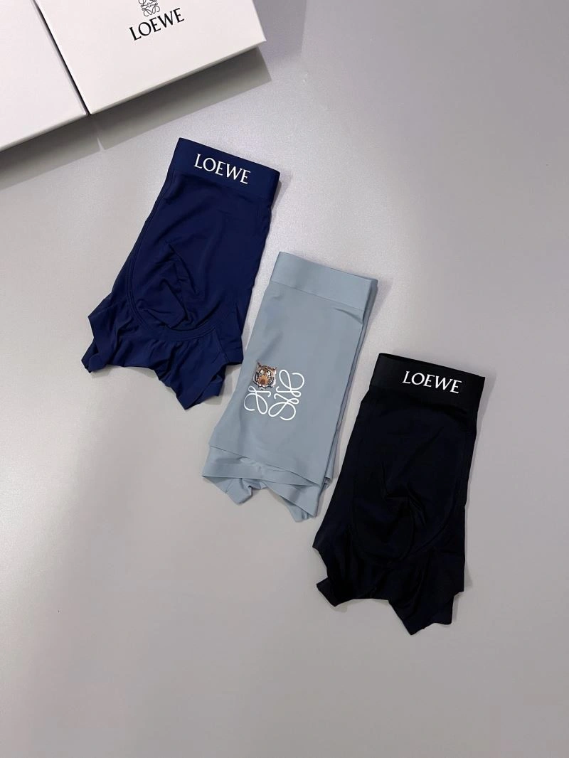 FastDry Loewe Underwear 276780