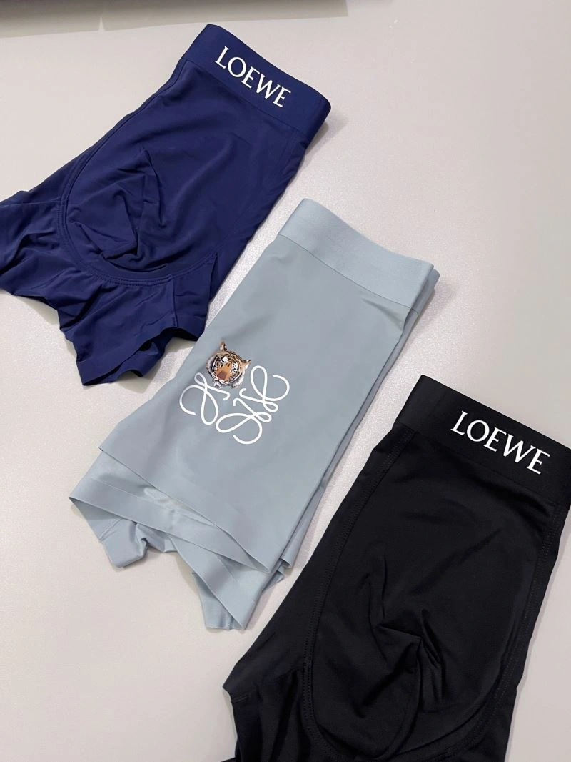 FastDry Loewe Underwear 276780
