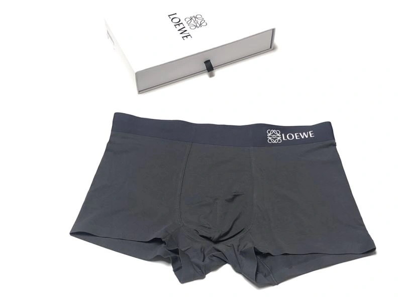 Loewe Underwear MoistureWicking 276761