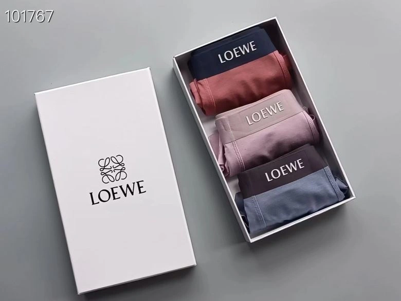 Supportive Loewe Underwear 276765