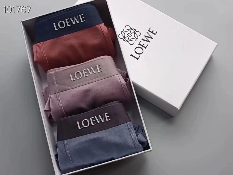 Supportive Loewe Underwear 276765