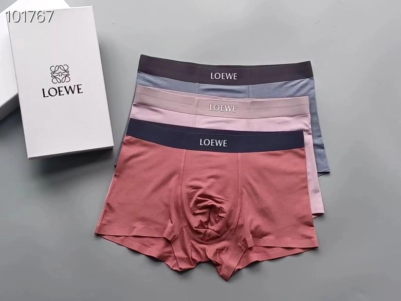 Supportive Loewe Underwear 276765