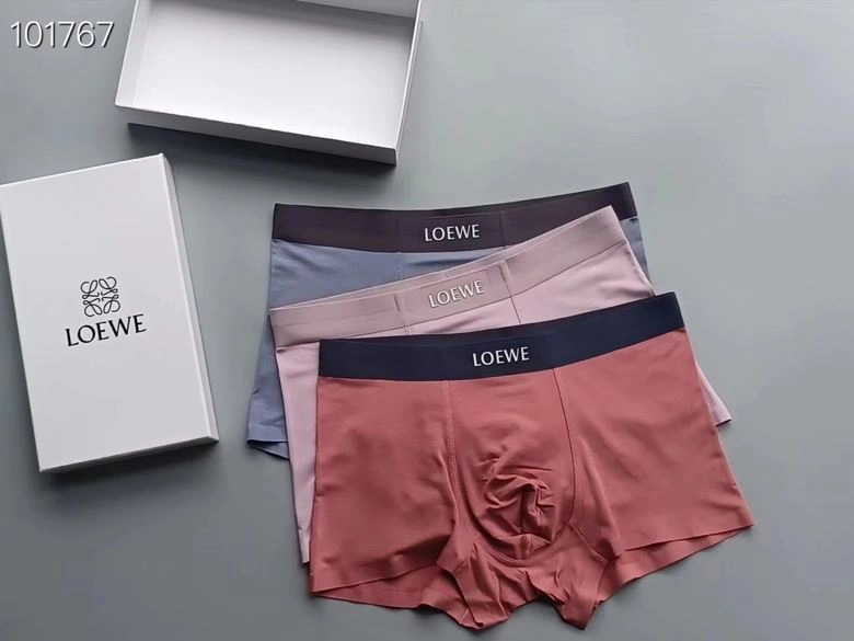 Supportive Loewe Underwear 276765