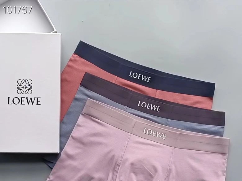 Supportive Loewe Underwear 276765