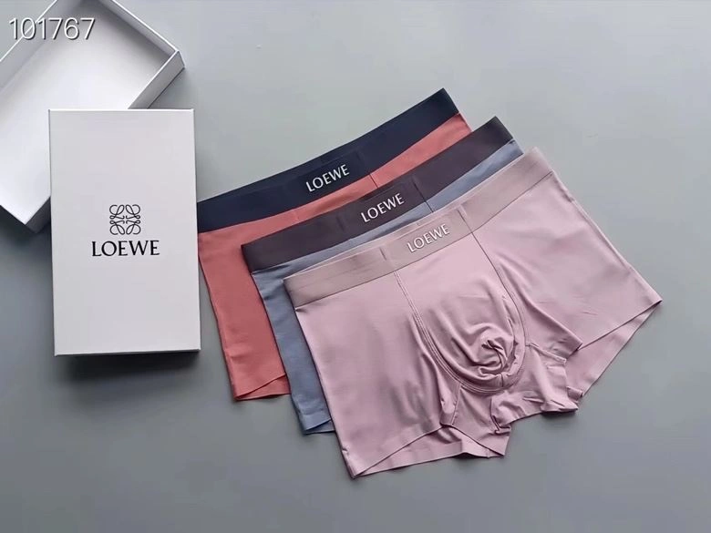 Supportive Loewe Underwear 276765